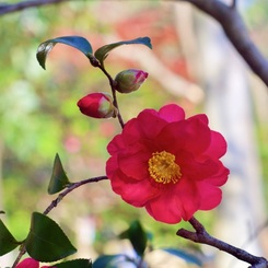 P1050386