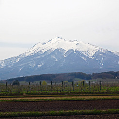 春の岩木山