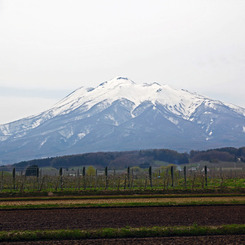 春の岩木山