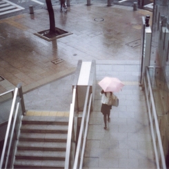 雨