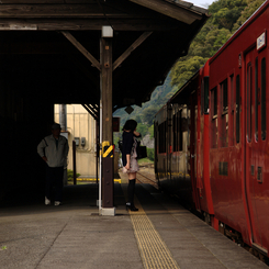 ある朝の風景