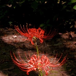 P1090768