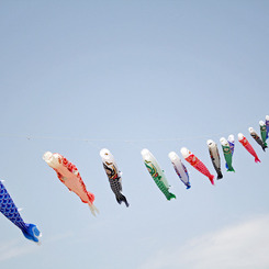 空を泳ぐ