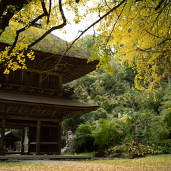 autumn for tokyoites 2023