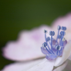 我ここにあり