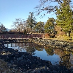 元日の長峰公園の池（1月1日）