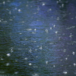 雨も水面もあじさい色