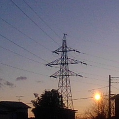 夕方の鉄塔（1月25日）