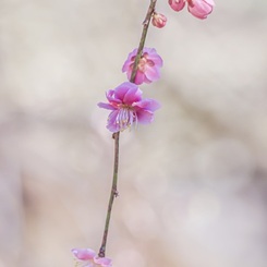 P1120998