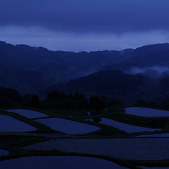 Morning mist