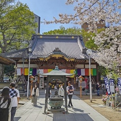 春の蓮馨寺(1)