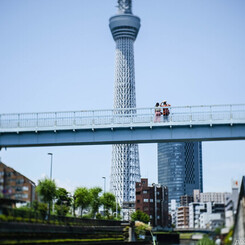 絶景かな