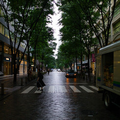 雨の丸の内仲通り