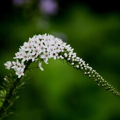 IMG_2060
