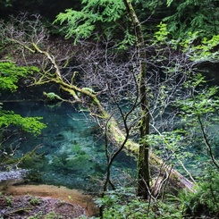 白上山地　十二湖を巡る