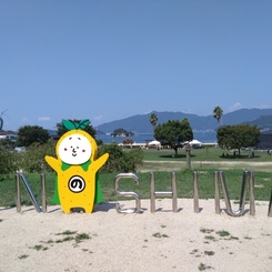 はっさくんとINのSHIMA