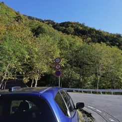 金精峠への道　１