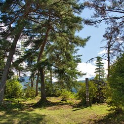 日本100名城　No.81　向羽黒山城跡　