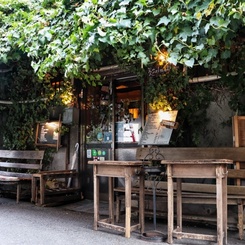 緑溢れるカフェ　（昼）