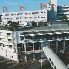 伊東に行くならハトヤ♪