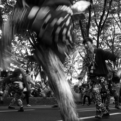 東北六魂祭　仙台すずめ踊り
