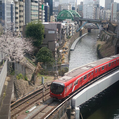 想い出桜