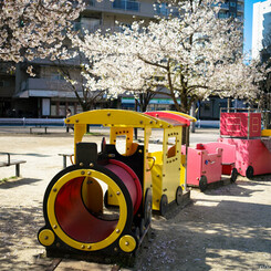 お花見列車