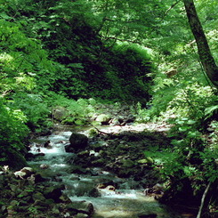 赤石川上流　1996.8