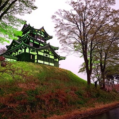 高田城跡公園（新潟）ライトアップ