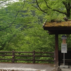 白骨温泉のバス停