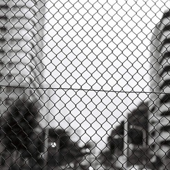 fence