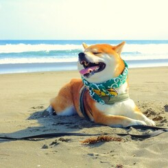 きもちぃーーーーーーー！