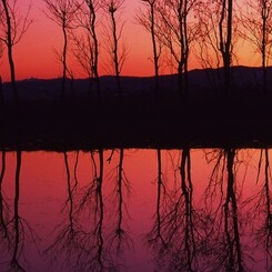 写り込みの夕日