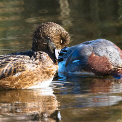 暮れゆくままに身を任せ