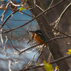 RAWに入らずんば好図を得ず？