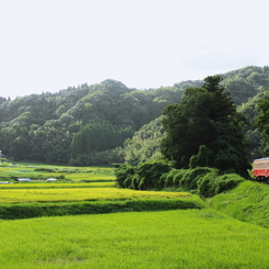 里山を走る