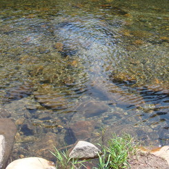 水面