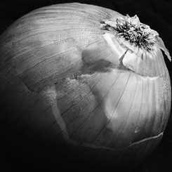 Onion