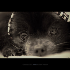 DEEP INTO EYES