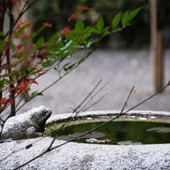 白野江植物公園