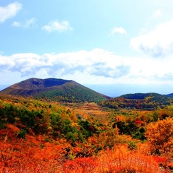 紅葉