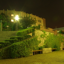 IMGP3220
