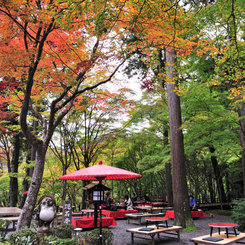 京都　三尾巡り　高雄山神護寺参道Ⅰ