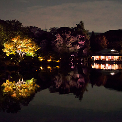 浮き上がる日本庭園