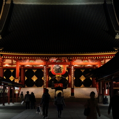 夜の朱