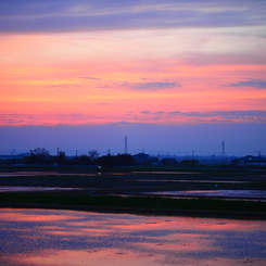 田園