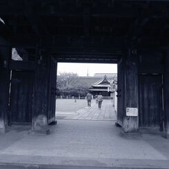 IMG_6045
