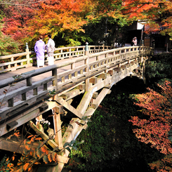 こおろぎ橋　錦情景