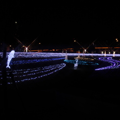 中之島イルミ東会場5