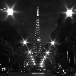 東京タワー　2009.4.20 #2